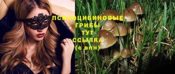 тгк Абаза