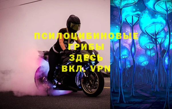 тгк Абаза
