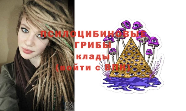 ПСИЛОЦИБИНОВЫЕ ГРИБЫ Приозерск