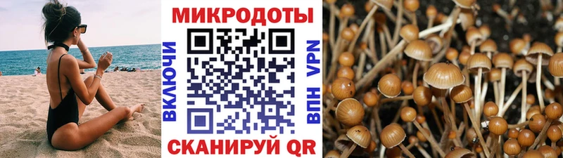 сколько стоит  Кимовск  Галлюциногенные грибы Magic Shrooms 