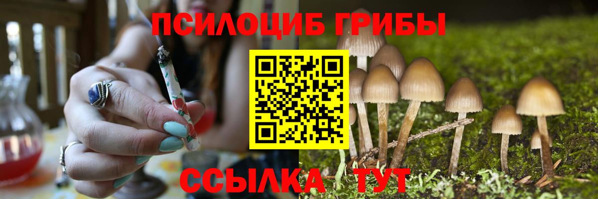 Кимовск  Псилоцибиновые грибы ЛСД  Псилоцибиновые грибы ЛСД  Вход с VPN 